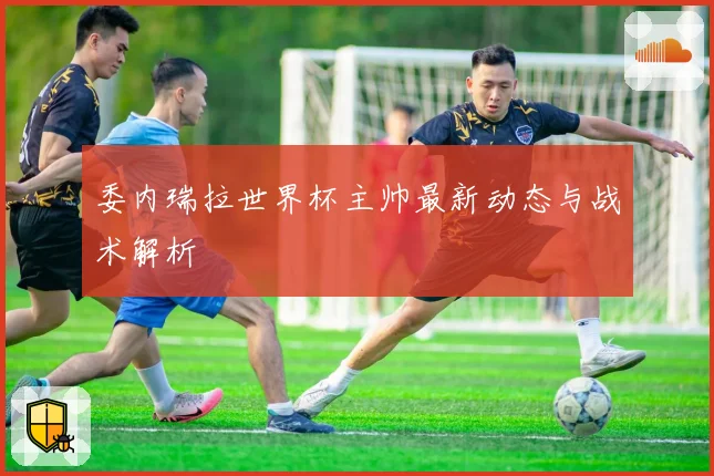委内瑞拉世界杯主帅最新动态与战术解析