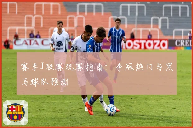 赛季J联赛观赛指南：夺冠热门与黑马球队预测