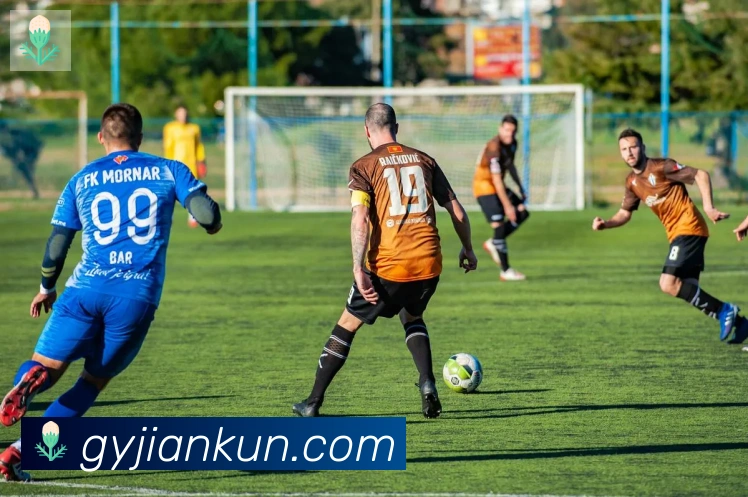 开云kaiyun网页版发展历程