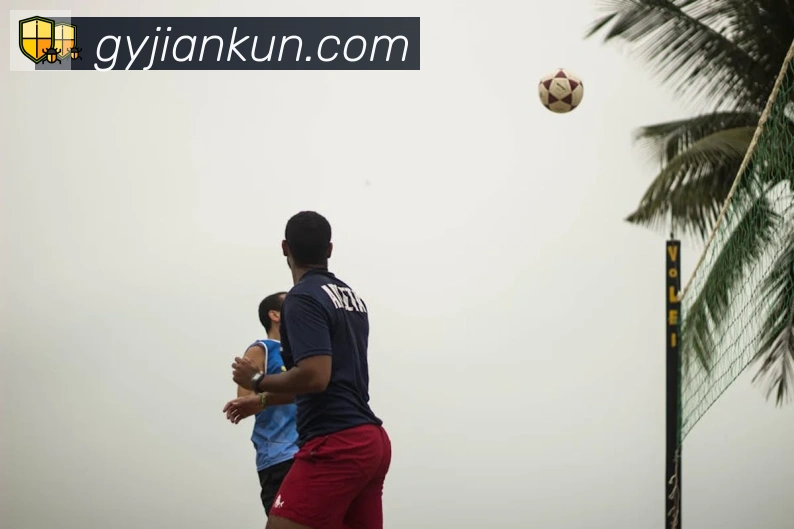 开云kaiyun网页版APP 封面图