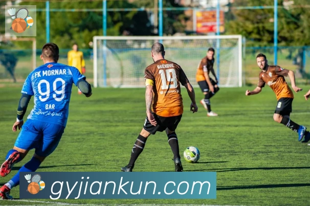 开云kaiyun网页版荣誉