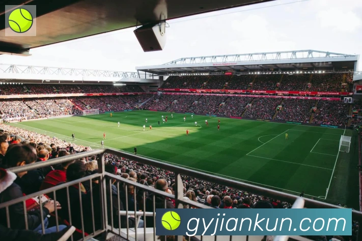 开云kaiyun网页版荣誉